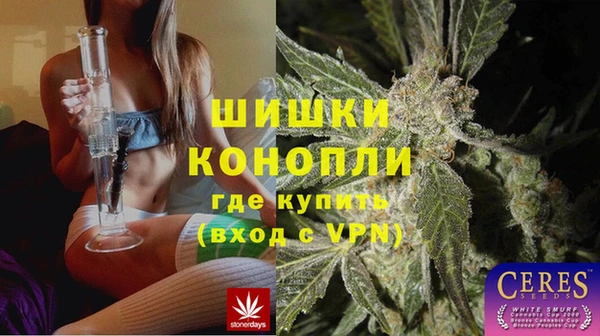 ПСИЛОЦИБИНОВЫЕ ГРИБЫ Баксан