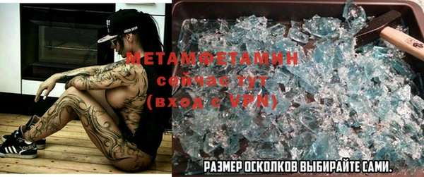спиды Пересвет