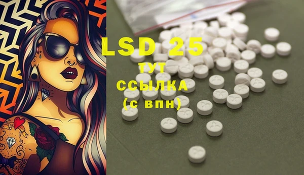 ПСИЛОЦИБИНОВЫЕ ГРИБЫ Баксан