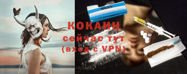 ПСИЛОЦИБИНОВЫЕ ГРИБЫ Баксан