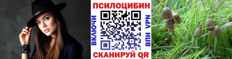 закладки  Нижнеудинск  Галлюциногенные грибы Psilocybe 